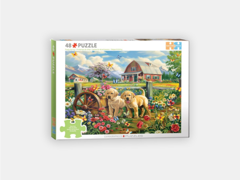 Eurographics Connecting Pieces - Adapted Puzzle 48 Pieces